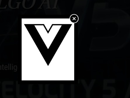 V5 Logo